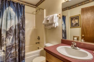 Dances With Wolves main level bathroom with tub/shower combo