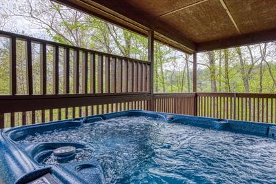 Dances With Wolves covered back deck with hot tub