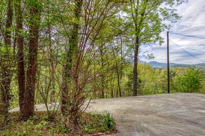 Cedar Lodge - Driveway with view