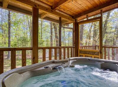 Cedar Lodge - Screened in back deck with hot tub