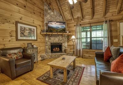 Beary Beary Special - Living room with stone encased gas fireplace