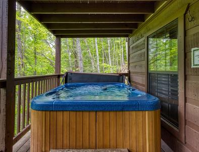 Beary Beary Special lower level covered back deck with hot tub