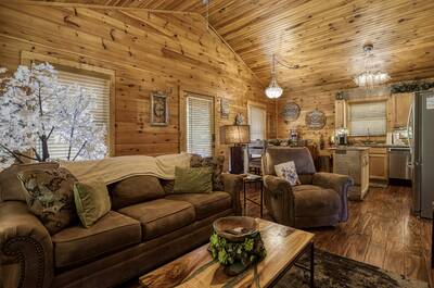 Cabin Fever living room and kitchen