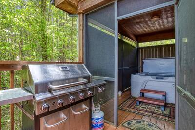 Black Bear Lodge - Back deck with gas grill and hot tub