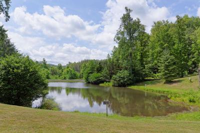 Stocked Fishing Pond Area near Possum Moon Cabin 