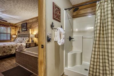 A Beary Good Time main level bathroom one with walk in shower