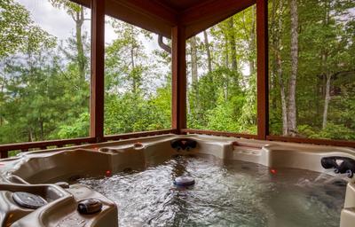 Pleasant View hot tub