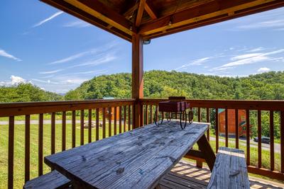 The Bear Cubs wrap around deck with picnic table