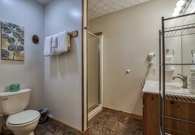 Owl's Nest upper level bathroom with walk in shower