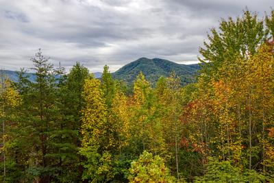 Bearfootin mountain views