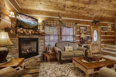 Mountain Magic living room with stone encased gas fireplace