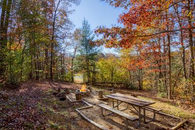 Mountain Magic back yard with picnic table