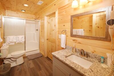 Pine View Lodge lower level bathroom with walk in shower