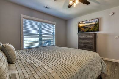 Lake View Therapy lower level bedroom with 55 inch TV