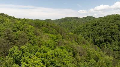 Wears Valley Smoky Mountain Views-Emerald Forest