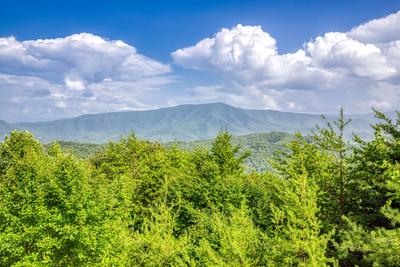 Bear's View beautiful mountain views