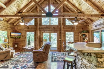 Blue Sky living room with vaulted ceilings