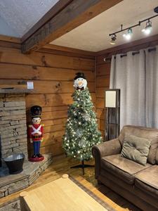 Owl's Nest Winterfest and holiday decorations