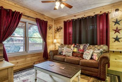 Sweet Tennessee Charm theater room
