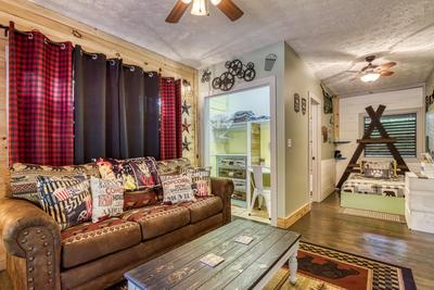 Sweet Tennessee Charm theater room and bathroom