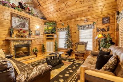 Wet and Wild living room with stone encased year round electric fireplace