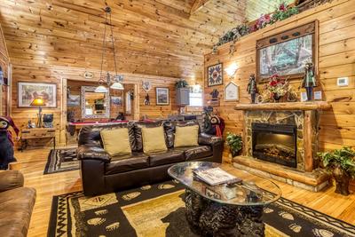 Wet and Wild full size living room