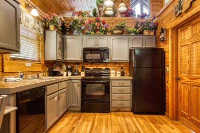 Wet and Wild fully furnished kitchen