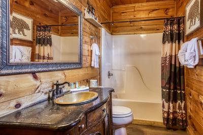 Wet and Wild bathroom with single vanity and tub/shower combo