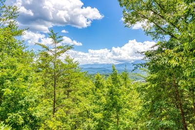 Heavenly Gaze mountain views