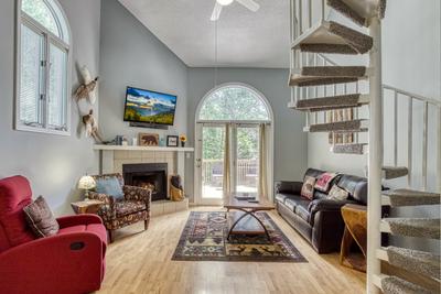 Feathers and Fur living room with year round fireplace