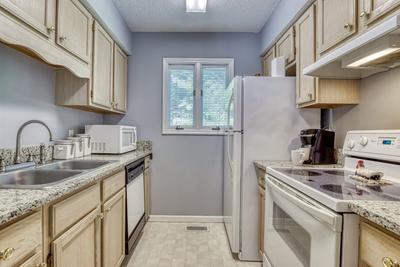 Feathers and Fur fully furnished kitchen