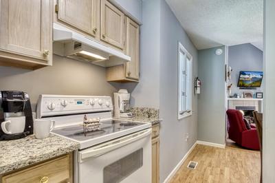 Feathers and Fur fully furnished kitchen and living room