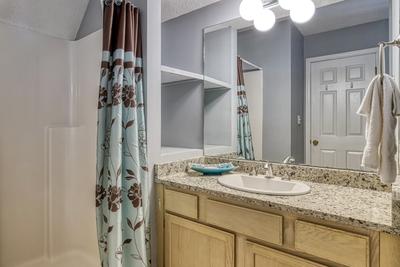 Feathers and Fur upper level bathroom