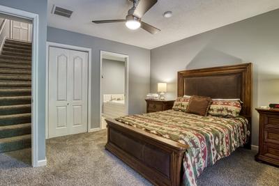 Feathers and Fur lower level bedroom with queen size bed and private bathroom