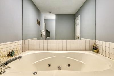 Feathers and Fur lower level bathroom with Jacuzzi