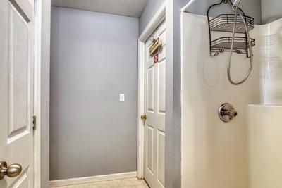 Feathers and Fur lower level bathroom with walk in shower