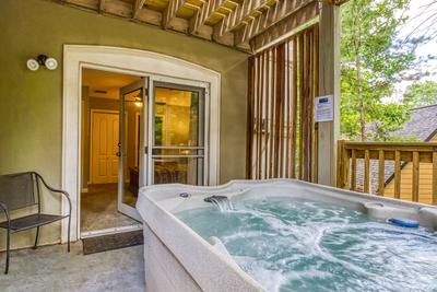 Feathers and Fur lower level deck with hot tub