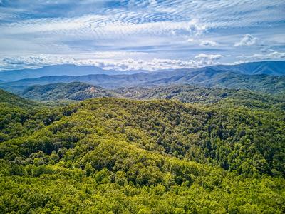 Wet and Wild aerial view from cabin