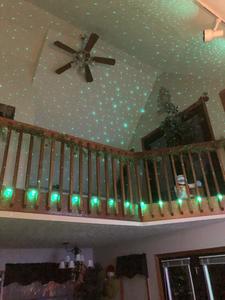 Majestic Poolside Lookout Winterfest decorations