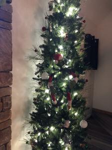 Majestic Poolside Lookout Winterfest decorations