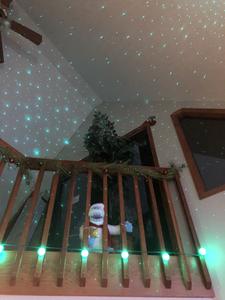 Majestic Poolside Lookout Winterfest decorations 