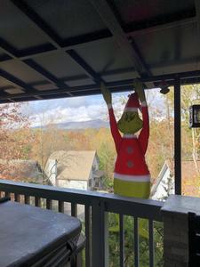 Majestic Poolside Lookout Winterfest decorations