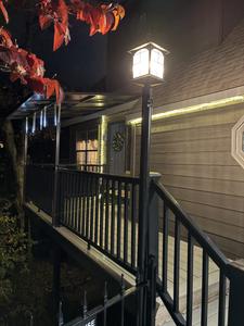 Majestic Poolside Lookout Winterfest decorations