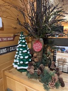 MounTown Moments Vista Winterfest decorations