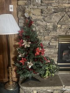 Blackberry Ridge Winterfest decorations