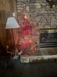 Blackberry Ridge Winterfest decorations