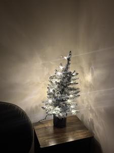 Magic Views Winterfest decorations