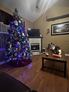 Pigeon River Retreat Winterfest decorations