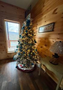 The Manor at Burg Hill holiday decorations