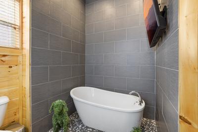 Let The Good Times Roll lower level bathroom with spa soaking tub